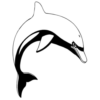 Dolphin